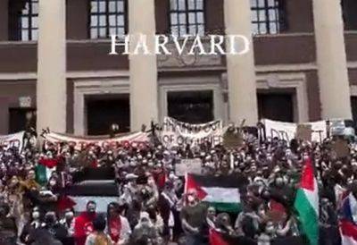 Глава Гарварда угодила в антисемитский скандал, но быстро взяла слова обратно - mignews.net - Израиль - Сша - Президент