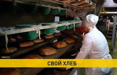 Как в Беларуси модернизируют производство хлеба - ont.by - Белоруссия - Минск