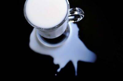 В Израиле ощущается дефицит молока: что говорят в торговых сетях - cursorinfo.co.il - Израиль