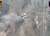 Игаль Левин - ВСУ одним ударом Excalibur уничтожили редкий ЗРК «Тор» оккупантов - udf.by - Израиль - Россия - Украина