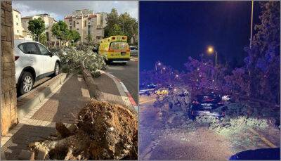 Буря в Израиле: падают деревья, вылетают стекла, люди попадают в больницу - 9tv.co.il - Израиль - Тель-Авив
