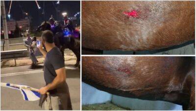 В полиции объяснили применение дубинок: левые демонстранты мучают лошадей - 9tv.co.il - Тель-Авив