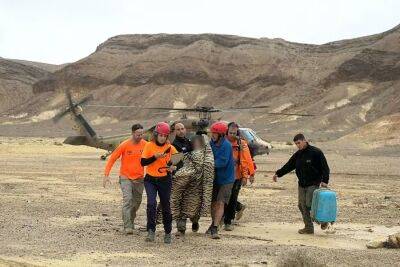 Выжить удалось не всем: спасатели обнаружили двоих из троих пропавших в наводнении - 9tv.co.il - Израиль - Из