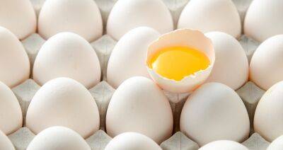 Мировые цены на яйцо достигли максимальных значений - produkt.by - Белоруссия