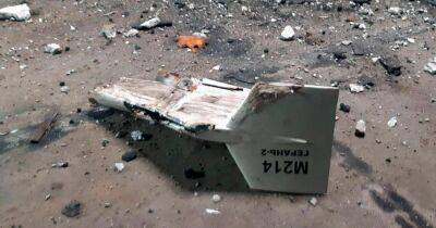 Ночная воздушная атака 21 апреля: сколько дронов сбили над Киевом - dsnews.ua - Израиль - Россия - Украина - Киев