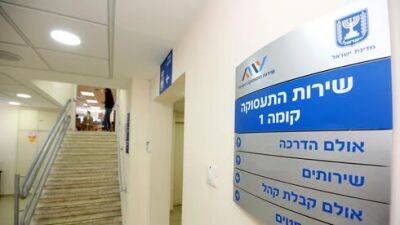 Служба трудоустройства: растет безработица среди юристов и программистов - vesty.co.il - Израиль