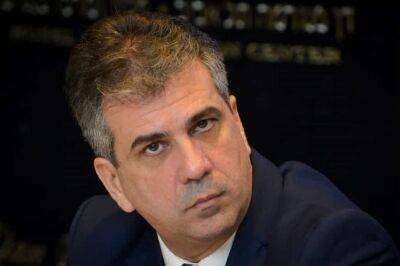 Эли Коэн - Халил Хуссейн Атия - Коэн высказался об ответственности Иордании за депутата-контрабандиста - cursorinfo.co.il - Израиль - Иордания - Амман