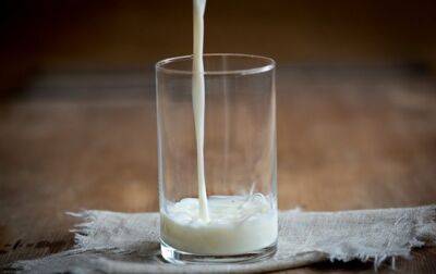 Украина нарастила производство молока - korrespondent.net - Россия - Украина