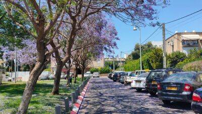 Сумасшедшая погода в Израиле: почти летняя жара в конце этой недели и дожди с грозами в середине следующей - 9tv.co.il - Израиль - Тель-Авив - Иерусалим