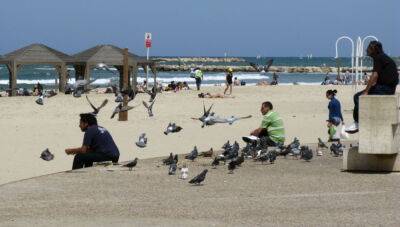 Быстрей на пляж: погода в Израиле в субботу - 9tv.co.il - Израиль - Тель-Авив - Иерусалим