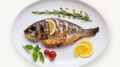 Какая рыба самая полезная в Израиле: рейтинг 10 видов - vesty.co.il - Израиль