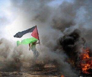 Антитеррористические операции на Западном берегу продолжаются - isra.com - Израиль - Палестина