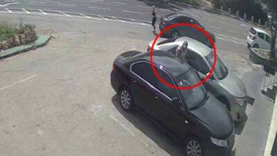 Видео: вице-мэра Хайфы избили на парковке возле ресторана - vesty.co.il - Израиль - Иерусалим - Хайфы