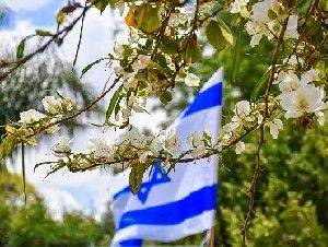 Амихай Хикли - Израиль направит деньги на борьбу с «BDS» и в помощь украинским евреям - isra.com - Израиль - Россия - Украина - Sanction