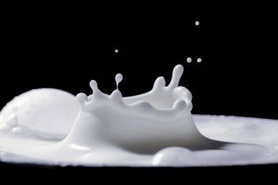 Стало известно, сколько молока потребляют израильтяне в год - cursorinfo.co.il - Израиль