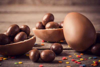 Нир Баркат - В Израиле открылась крупнейшая в стране шоколадная фабрика – сколько она будет производить сладостей - cursorinfo.co.il - Израиль - Ноф
