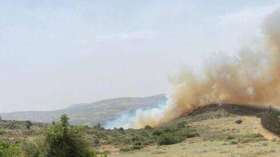 Из-за жары: лесные пожары в Израиле, людей эвакуируют - vesty.co.il - Израиль