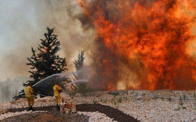 Из-за аномальной жары по всему Израилю произошли лесные пожары - nashe.orbita.co.il - Израиль - Акко