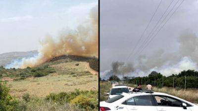 Жара и ветер в Израиле: 120 пожаров, поваленные деревья - vesty.co.il - Израиль
