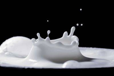 Ави Дихтер - Израильтян предупредили об очередном повышении цен на молоко — на сколько и когда - cursorinfo.co.il