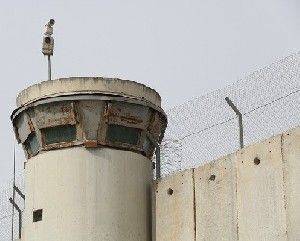 ЦАХАЛ провел операцию в Дженине - isra.com - Израиль - Палестина