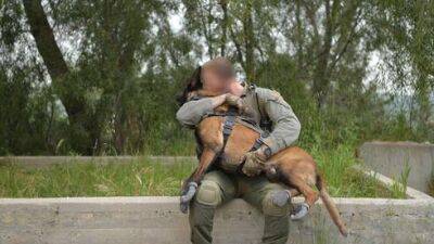 Погибшего в ходе операции в Шхеме пса Джанго похоронили с воинскими почестями - vesty.co.il - Израиль