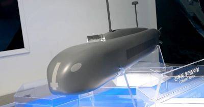 Инженеры показали рой беспилотных подлодок: как Combat XLUUV изменят морские бои (видео) - focus.ua - Израиль - Германия - Украина - Япония - Франция - Южная Корея