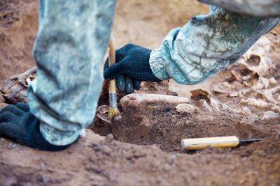 На севере Израиля обнаружили удивительную археологическую находку - cursorinfo.co.il - Израиль