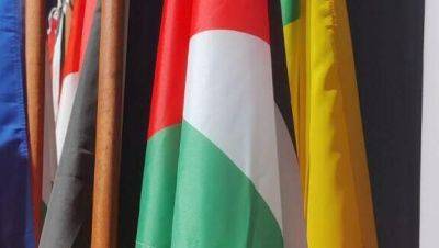 В Индонезии запретили флаг Израиля на медицинском конгрессе, иранский разрешен - vesty.co.il - Израиль - Палестина - Иран - Индонезия