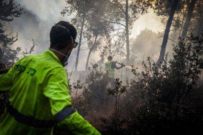Сильный лесной пожар на шоссе 4 между Офером и Атлитом - news.israelinfo.co.il - Израиль