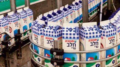 Молоко в картонных упаковках в Израиле стало дефицитом: в чем причина - vesty.co.il - Израиль