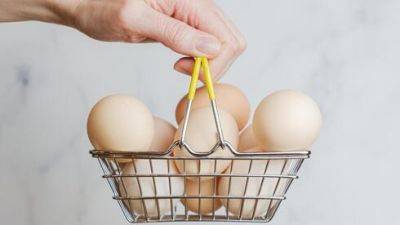 Израильтянин заказал онлайн 12 яиц, а получил 12 ящиков. Кто заплатит за ошибку - vesty.co.il - Израиль