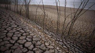 Ученые предостерегают: чем грозит Израилю и миру внезапная засуха - vesty.co.il - Израиль - штат Оклахома