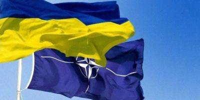 Украине не предложат вступить в НАТО на саммите, но внесут больше ясности — посол Литвы в Альянсе - nv.ua - Сша - Украина - Киев - Литва - Вильнюс - Президент