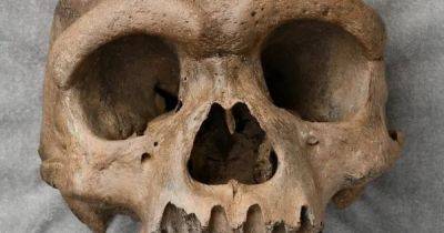 Некромантия в Иерусалиме: найденные человеческие черепа свидетельствуют об общении с мертвыми - focus.ua - Иерусалим - Украина