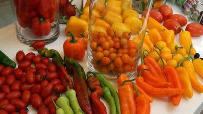 В Израиле отделят импортные овощи и фрукты от отечественных - vesty.co.il - Израиль