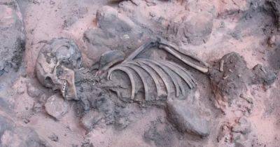 Захоронение древнего подростка с болезнью позвоночника: почему находка озадачила археологов - focus.ua - Украина - Бразилия - Находка