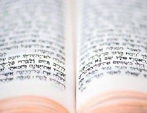Религиозная партия требует сравнить изучение Торы со службой в ЦАХАЛе - isra.com - Израиль