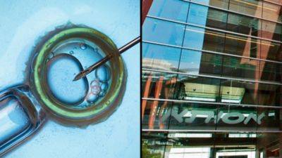 Из-за путаницы с эмбрионами в "Ассуте": в каких больницах теперь будут делать ЭКО - vesty.co.il - Израиль - Из