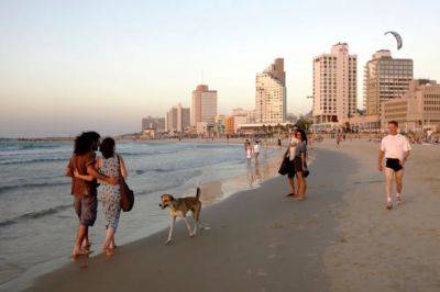 Исследование: в Тель-Авиве больше всего одиноких людей в Израиле - nashe.orbita.co.il - Израиль - Тель-Авив - Бней-Брак - Герцлия