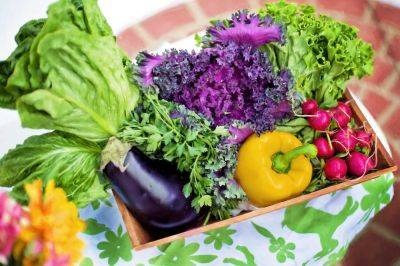 Израильтянам назвали овощи и зелень с повышенным содержанием пестицидов - cursorinfo.co.il - Израиль