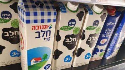 Израильские производители угрожают выливать молоко: продавать невыгодно - vesty.co.il - Израиль