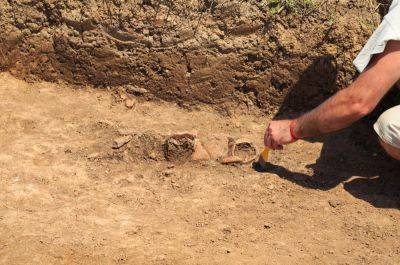 Археологи нашли на юге Израиля ворота возрастом 5500 лет - cursorinfo.co.il - Израиль - округ Южный