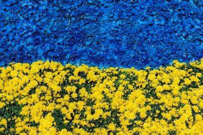 День Независимости 2023 - в сети вспомнили важные фото становления независимости Украины - apostrophe.ua - Россия - Украина - Киев - Ссср - Фото