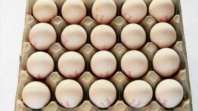 В Израиль к праздникам доставят яйца из Украины - vesty.co.il - Израиль - Украина - Испания - Польша - Из