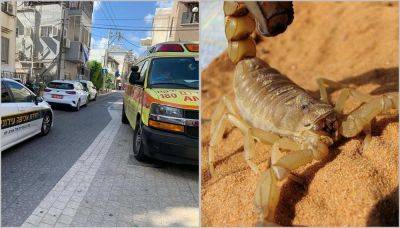 Жара, ножи и желтые скорпионы: из-за чего люди попадают в больницу в субботу - 9tv.co.il - Израиль - Из