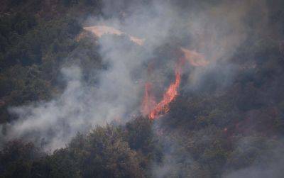 Биньямин Нетаниягу - Израиль отправил в европейскую страну миссию для борьбы с лесными пожарами - cursorinfo.co.il - Израиль - Кипр - Президент