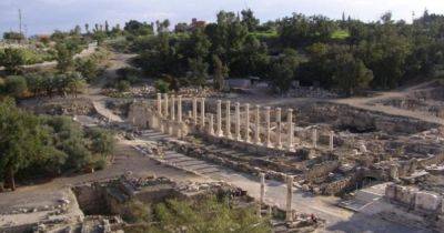Куриные кости раскрыли точную дату уничтожения древнегреческого города: как это удалось сделать - focus.ua - Израиль - Украина - Греция - Бейт-Шеан