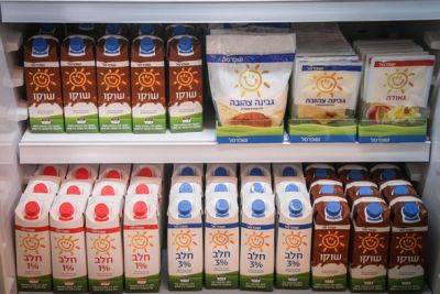 Бецалель Смотрич - Минфин бьется над снижением цен на молоко - nashe.orbita.co.il - Израиль