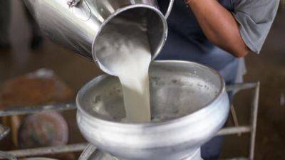 Популярный молочный продукт исчезнет из магазинов в Израиле: причины - vesty.co.il - Израиль
